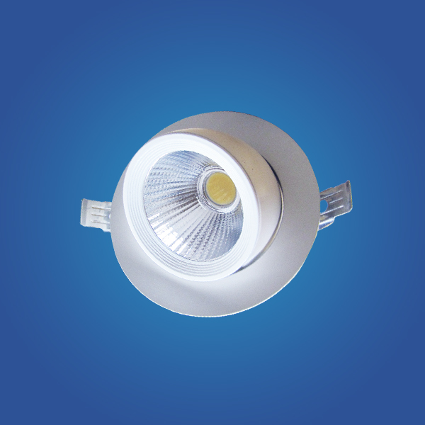 DOWNLIGHT LED DIRIGIBLE